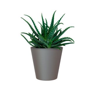 PE NOTRANJI LONEC PORTO ANTRACIT 16CM