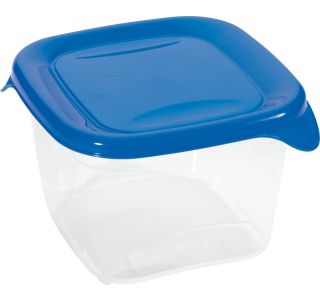 POSODA ZA SHRANJEVANJE CURVER FRESH&GO 0.45L TRANSPARENT MODRA
