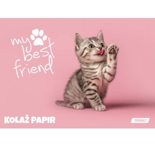 RISALNI LISTI,KOLAŽ PAPIR TARGET KOLAŽ A4 20 L MY BEST FRIENDS 100GR. 28887