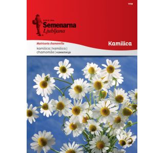 SEME DIŠAVNICE SEMENARNA KAMILICA 1118 SEME DIŠAVNICE SEMENARNA KAMILICA 1118