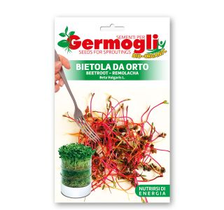 SEME VRTNINE FRANCHI SEMENTI KALČKI RDEČA PESA