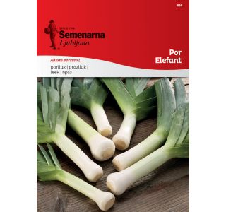 SEME VRTNINE SEMENARNA POR ELEFANT 616