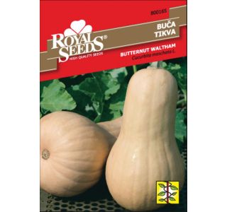PLODOVKA ROYAL SEEDS BUČA BUTTERNUT W. 165 PLODOVKA ROYAL SEEDS BUČA BUTTERNUT W. 165