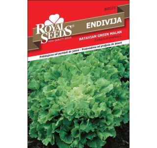 LISTNA ZELENJAVA ROYAL SEEDS ENDIVIJA MALAN 223