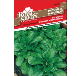 LISTNA ZELENJAVA ROYAL SEEDS MOTOVILEC HOLANDSKI 230