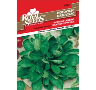 LISTNA ZELENJAVA ROYAL SEEDS MOTOVILEC VDC ŽLIČAR 234 LISTNA ZELENJAVA ROYAL SEEDS MOTOVILEC VDC ŽLIČAR 234