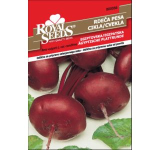 KORENOVKA ROYAL SEEDS PESA RD. EGIPTOVSKA 66