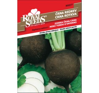 KORENOVKA ROYAL SEEDS REDKEV ZIMSKA ČRNA 77 KORENOVKA ROYAL SEEDS REDKEV ZIMSKA ČRNA 77