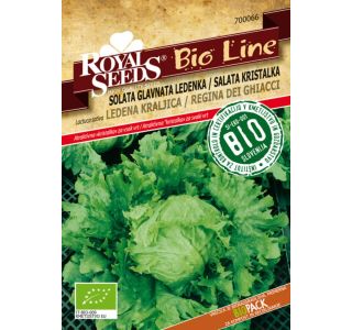 SEMENA ROYAL SEEDS SOLATA LEDENA K. BIO 66