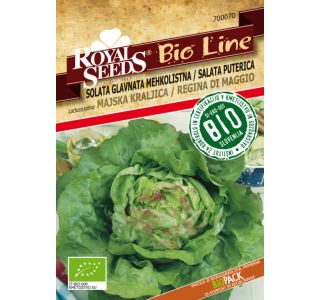 SEMENA ROYAL SEEDS SOLATA MAJSKA K. BIO 70