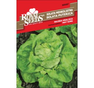LISTNA ZELENJAVA ROYAL SEEDS SOLATA MAJSKA KRALJICA 87