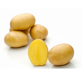 SEMENSKI KROMPIR SEMENARNA BELMONDA SREDNJE ZGODNJA (TUDI ZA OZIMNICO) 5KG