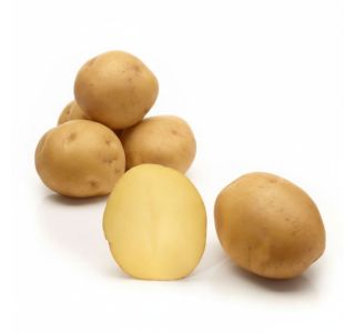 SEMENSKI KROMPIR SEMENARNA LAPERLA ZGODNJA 3KG 28-35 MM