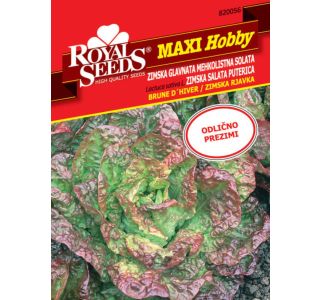 SOLATA ZIM. RJAVKA MH 56