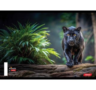 ŠOLSKI ZVEZEK TARGET A4 BREZČRTNI ANIMAL 52L 16530