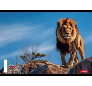 ŠOLSKI ZVEZEK TARGET A5 ČRTE ANIMAL 16526