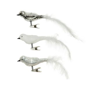 PTIČEK, BEL, SREBRN REP BELO PERJE, 3/1