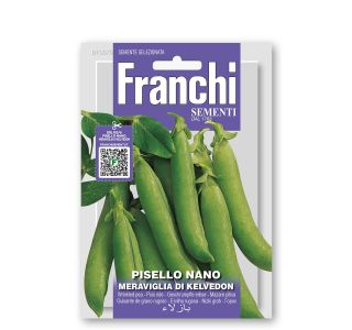 STROČNICA FRANCHI SEMENTI NIZEK GRAH KELVEDON STROČNICA FRANCHI SEMENTI NIZEK GRAH KELVEDON