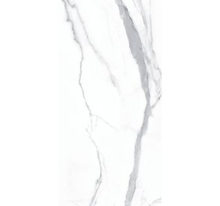 TALNA PLOŠČICA HERBERIA MARMI PREGIATI STATUARIO MATT RET 60X120