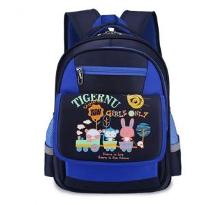 TORBA ZA PROSTI ČAS TIGERNU ORION MODER