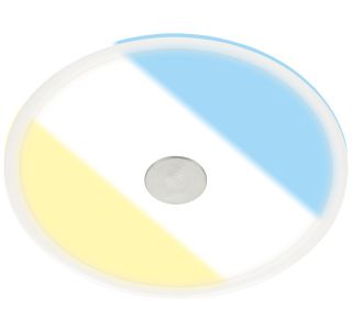 VGRADNA STROPNA SVETILKA BRILONER LED CTS 14W 22 CM