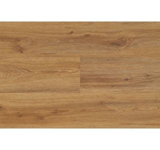 HRAST PARIS 1232 4.5/0.3 MM 23/31 CLICK