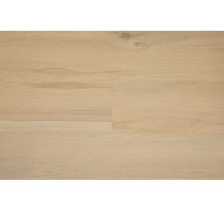 HRAST RENNES 1203 4.5/0.3 MM 23/31 CLICK