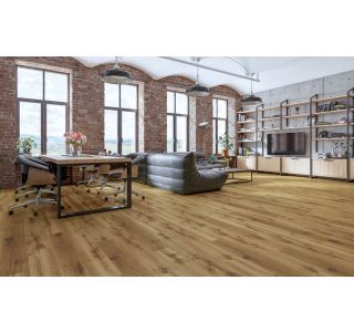 HRAST VENEZIA 1178 5.5/ 0.55 S PLUTO 33/42 5G