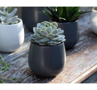 KERAMIČNI NOTRANJI LONEC VITORIA 16 CM TEMNO SIV KERAMIČNI NOTRANJI LONEC VITORIA 16 CM TEMNO SIV