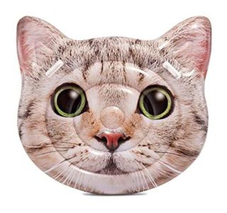 NAPIHLJIVA BLAZINA INTEX 58784EU MUCKA NAPIHLJIVA BLAZINA INTEX 58784EU MUCKA