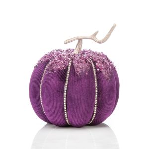 ŽAMETNA BUČA FI 19 CM