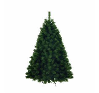 NOVOLETNA JELKA 155 CM HIGLAND FIR