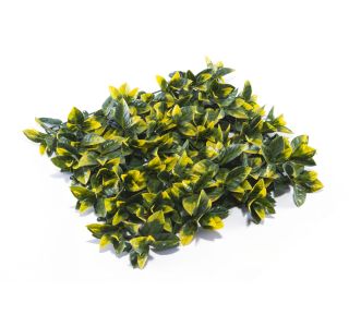 ZELENA STENA INTER CERAMIC LISBOA 50X50 CM POLIETILEN ZELENA/RUMENA