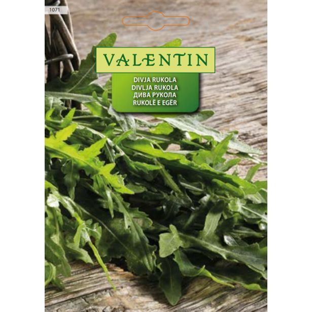 LISTNA ZELENJAVA VALENTIN 1071 RUKOLA DIVJA DIPLOTAXIS TENUIFOLIA
