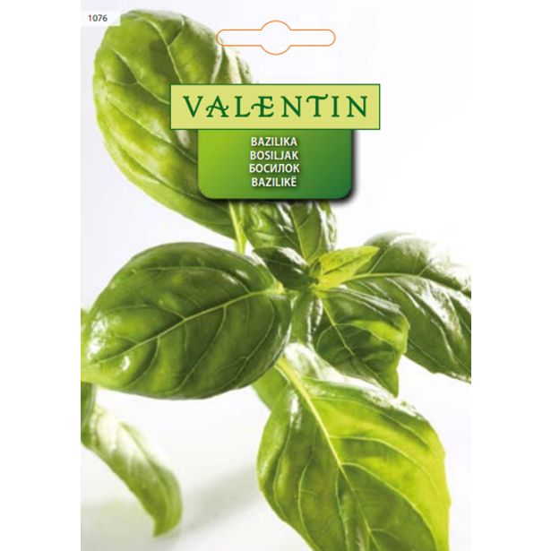 BAZILIKA VALENTIN 1076