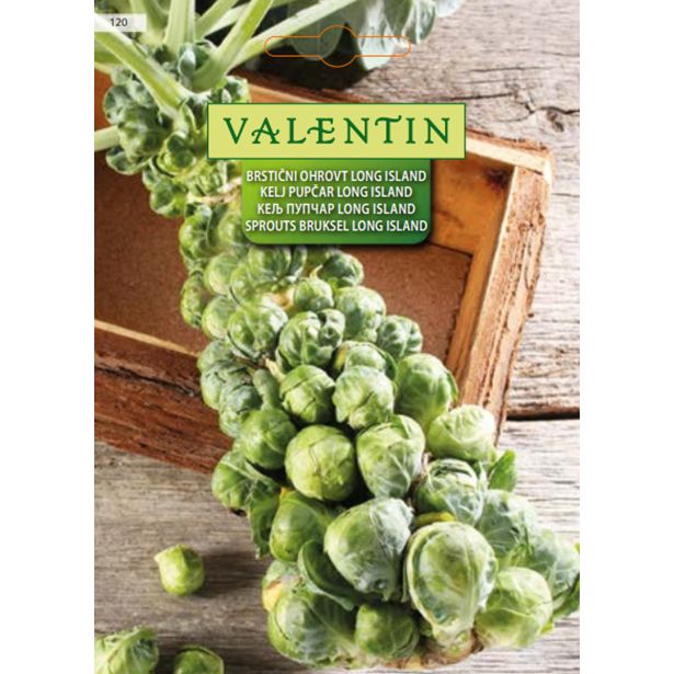 KAPUSNICA VALENTIN 120 BRSTIČNI HROVT LONG ISLAND