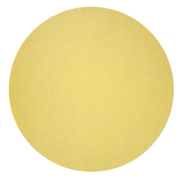 SAMOPRITRILNI BRUSNI DISK BOSCH 125 MM BREZ LUKENJ G120