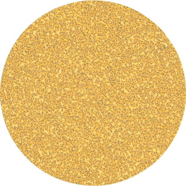 SAMOPRITRILNI BRUSNI DISK BOSCH 125MM BREZ LUKENJ G40 EXC470 ZA LES IN BARVO