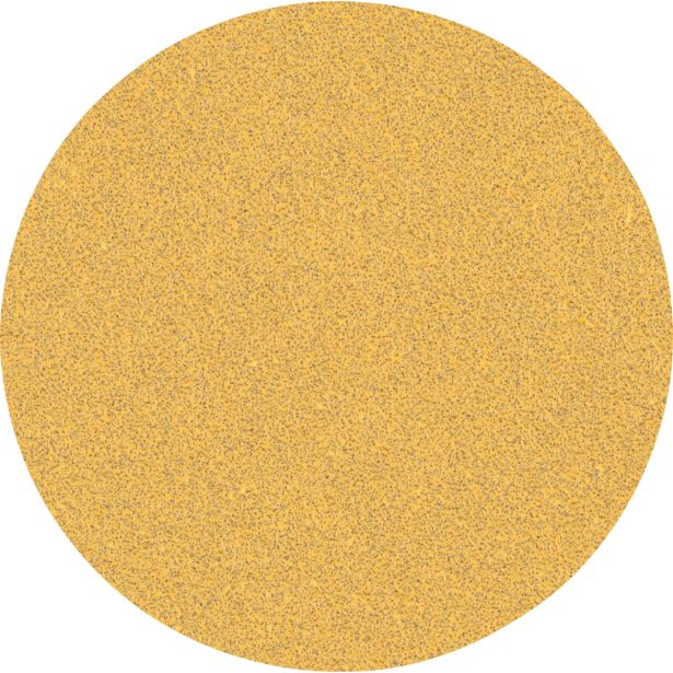 SAMOPRITRILNI BRUSNI DISK BOSCH 125MM BREZ LUKENJ G60 EXC470 ZA LES IN BARVO