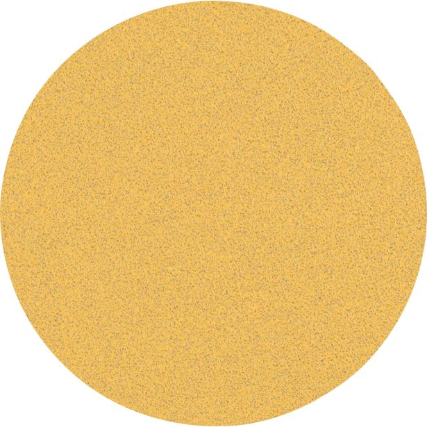 SAMOPRITRILNI BRUSNI DISK BOSCH 125MM BREZ LUKENJ G80 EXC470 ZA LES IN BARVO