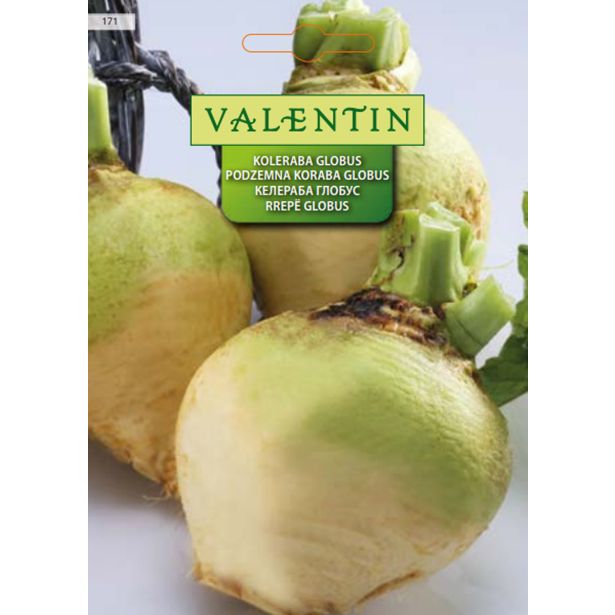 KORENOVKA VALENTIN 171 KOLERABA GLOBUS GLOBUS