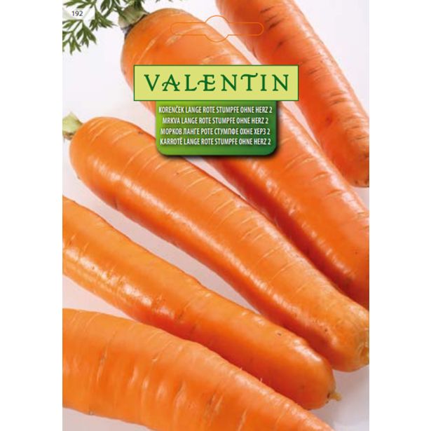 KORENOVKA VALENTIN 192 KORENČEK LANGE ROTE STUMPFE OHNE