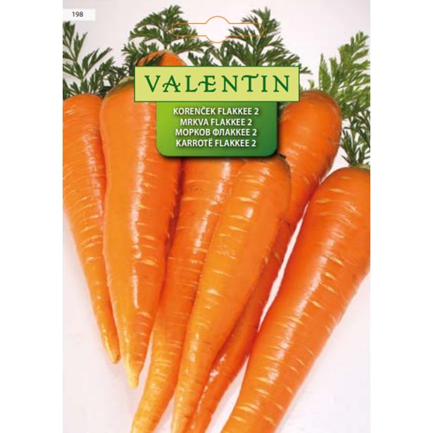 KORENOVKA VALENTIN 198 KORENČEK FLAKKEE 2