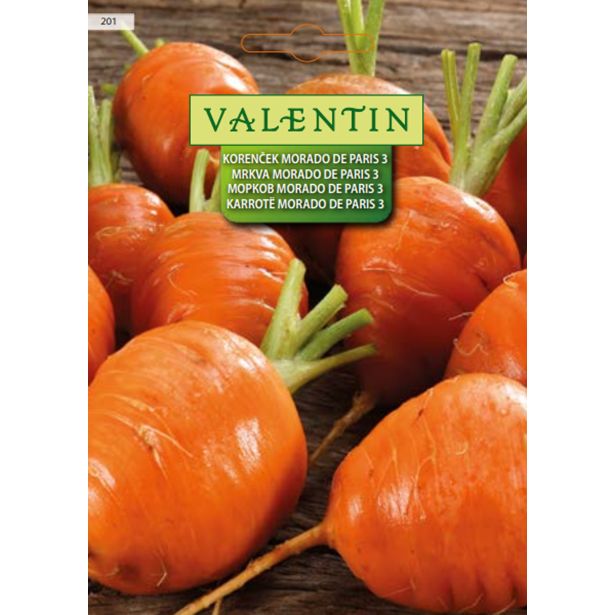 KORENOVKA VALENTIN 201 KORENČEK MERCADO DE PARIS 3