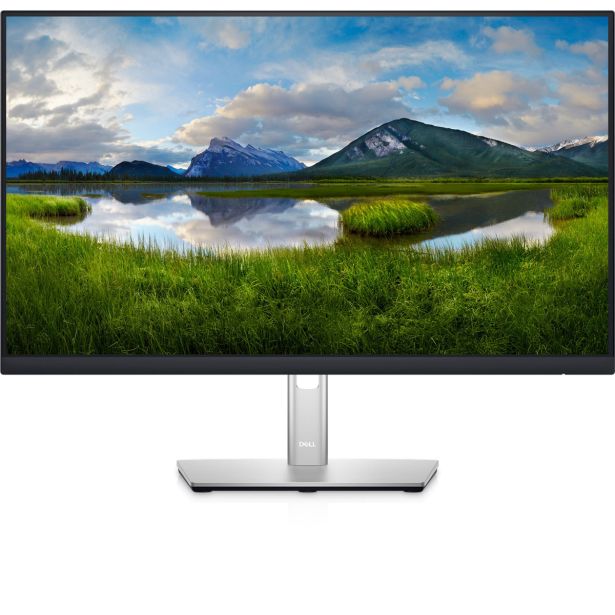 RAČUNALNIŠKI MONITOR DELL P2422H