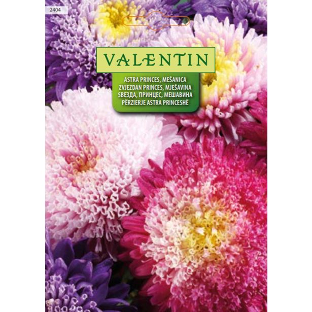 ASTRA VALENTIN 2404 PRINCES - MEŠANICA