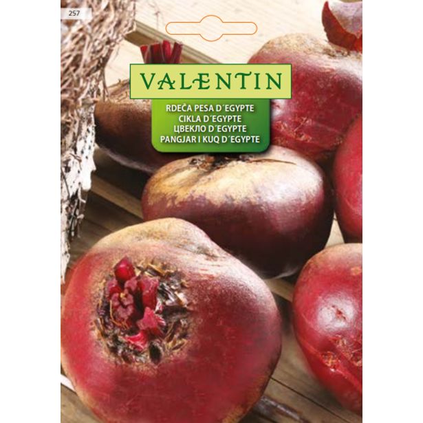 KORENOVKA VALENTIN 257 RDEČA PESA D'EGYPTE