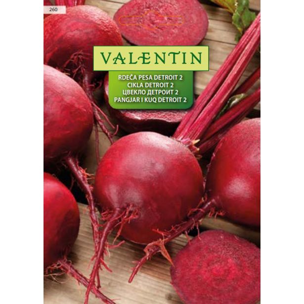 KORENOVKA VALENTIN 260 RDEČA PESA DETROIT 2