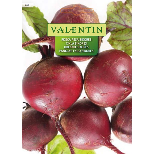 KORENOVKA VALENTIN 262 RDEČA PESA BIKORES