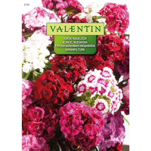 NAGELJ VALENTIN 3133 TURŠKI, MEŠANICA